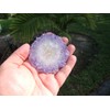 Ham8301 Amethyst slab round piece gemstone