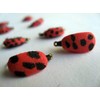 Fly Fishing LADYBIRD BEETLE LADY BIRD LADY BUG Set of