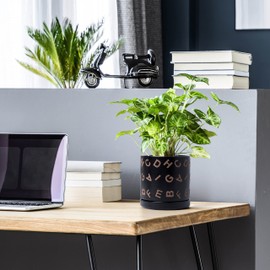 D'vine Dev Set of 2 Ceramic Planter Pots with Drainage Hole and Saucer, 4.5 Inch 6 Inch Plant Pots for Plants Indoor Houseplants, Black, 99-G-2