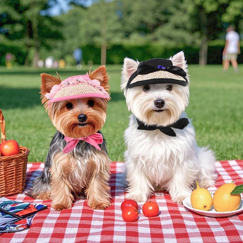 BT Bear Hundehut, Spitzenstrohhut, Baseballkappe, Haustier-Sonnenschutz für Katzen, Welpen, kleine,