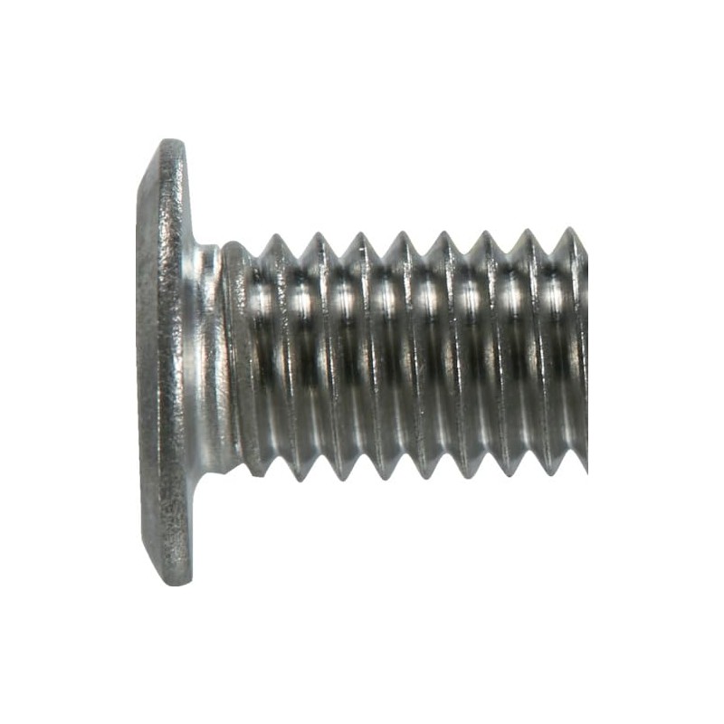 Trusco B183-0206 Hex Lobe Ultra Low Head Screws, Stainless Steel,
