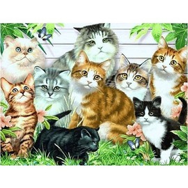Jigsaw Puzzle - 60 Pieces - Nice Little Cats