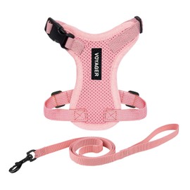 Voyager Step-in Lock Pet Harness - All Weather Mesh, Adjustable Step in Harness for Cats by Best Pet Supplies - Pink, XXS