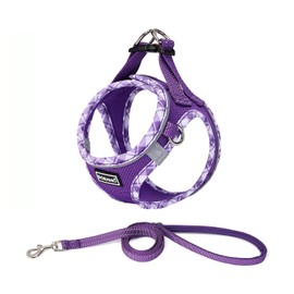 DORAMIO Step-in Dog Harness and Leash Set, No-Chock Soft Mesh Reflective Breathable Easy Walk Lightweight Vest Harnesses with Safety Buckle for Small Medium Dogs, Cats, Puppies (XS, Purple)
