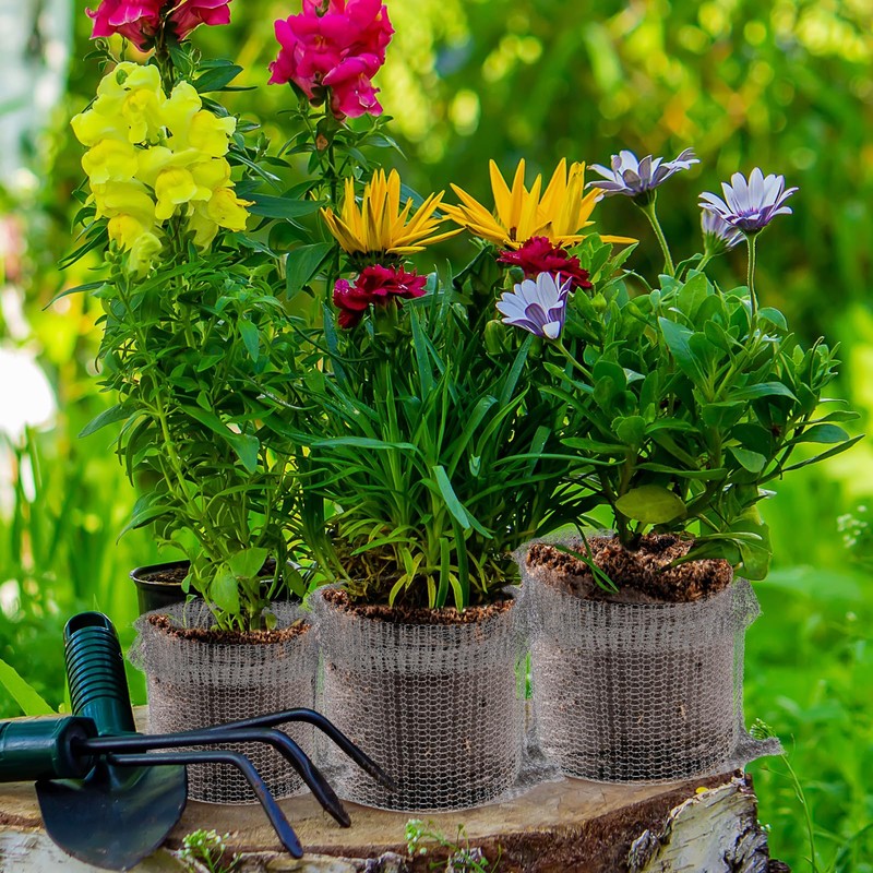 SEEWEY 12 Pcs, 5 Gallon Spring Plant Root Guard Baskets