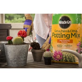 Miracle-Gro Miracle-Gro Cactus, Palm and Citrus Potting Mix, for Indoor or Outdoor Container Plants, Great for Succulents, 8 qt., 2-Pack