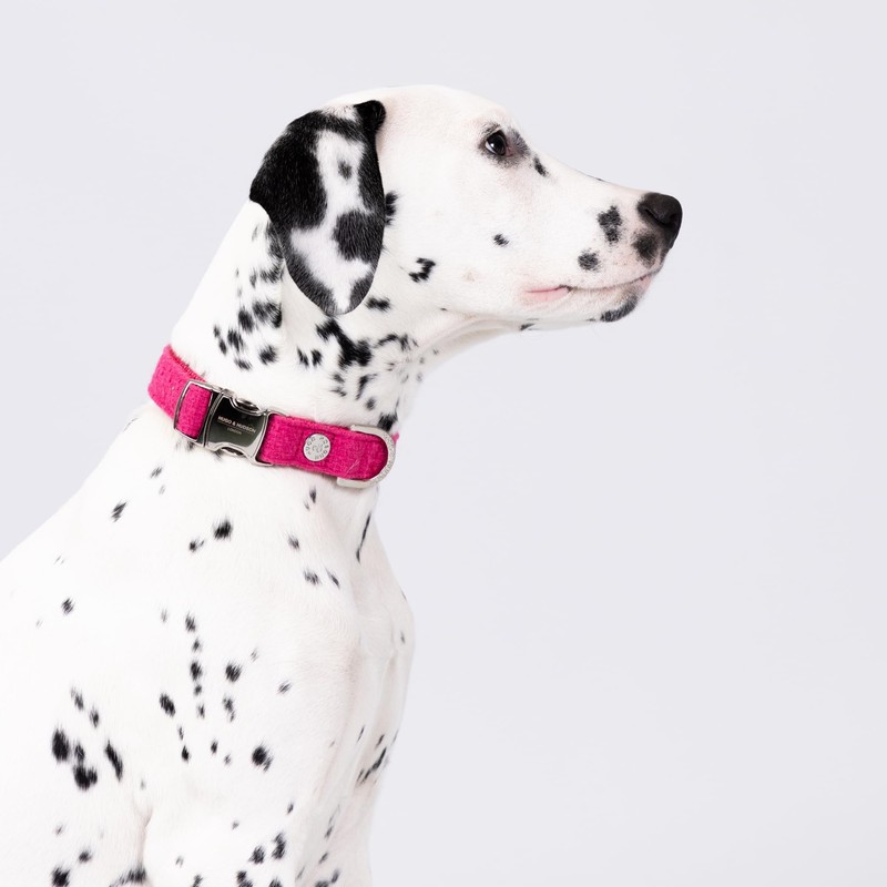 HUGO & HUDSON Tweed Dog Collar, Luxury Adjustable Quick Release