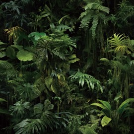 FunStick 17.5"x354" Green Tropical Peel and Stick Wallpaper Dark Jungle Forest Leaves Wall Paper Renter Friendly Wallpaper Kitchen Cabinet Contact Paper Black Self Adhesive Vinyl Wallpapers for Walls
