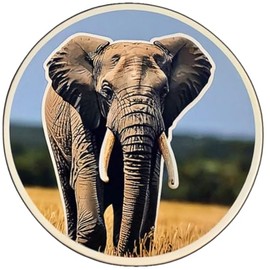 3 Pcs Elephant Stickers 3in, Gifts for Water Bottles, Elephant Vinyls Stickers Decal Waterproof Bottles, Sticker for Kids Teen Laptop, Luggage Skateboard Water Bottle,Phone.(Elephant 1)