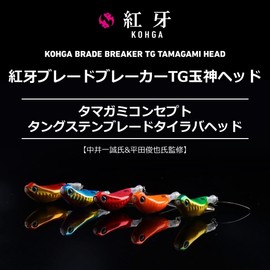 DAIWA Tungsten Tylava Blade Breaker TG Gyokami Head 3.5 oz (100 g) PH Akakin