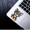 Set of 3 - Cute Wolf Puppy Cartoon Vinyl Decal