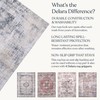 Delara Machine Washable Area Rug, Soft & Durable, Non-Slip, Stain