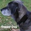 Dapper Dog Pet Tag Silencer and AirTag Holder (Black)