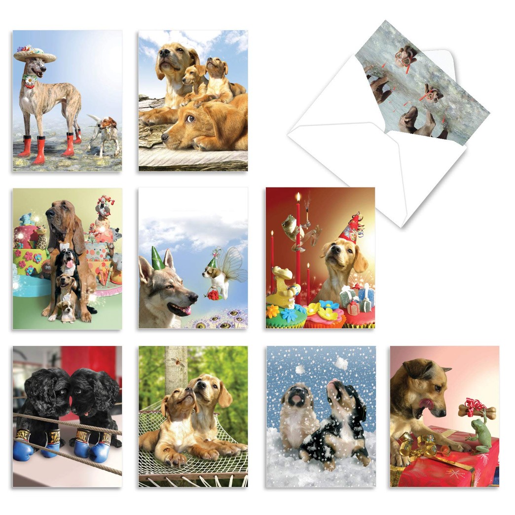 The Best Card Company - 10 Blank Dog Greeting Cards for All Occasions (4 x 5.12 Inch) - Puppy Love M6546OCB