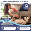 Flea Collar for Dogs, Tick Collar for Larger Dogs, Dog