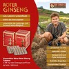 KGV GINSENG - KOREA GINSENG VERTRIEB KGV Koreanischer Reiner Roter