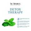 Shampoo Cool Mint Detox Therapy 591ml The Botanist