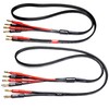 CNCESS Bi-Wire Banana Plug Splitter Speaker Cable, 2 Banana Plugs