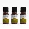 3 Aceites Esenciales de Orégano Puro ZELIHA, Origanum Onites, 15ml,