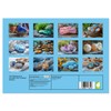 The Radiance of Crystals and Tumbled Stones (Monthly Wall Calendar