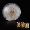 AUTENS Dandelion Flowers Manual Gear Shift Knob Ball, Universal Crystal