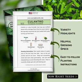 Sow Right Seeds - Culantro Seeds for Planting - Non-GMO Heirloom Packet with Instructions to Grow a Kitchen Herb Garden - Great Addition to Your Cooking - Unique and Zesty Herb from Puerto Rico (4)