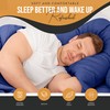 HOME ACE Royal Blue Single Bed Sheet - Fitted Sheet,