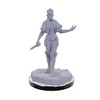 WizKids Pathfinder Deep Cuts: Urdefhan Death Scout & Lasher Pathfinder