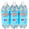 Vintage Seltzer Water, 33.8 fl oz Bottle (6-Pack)