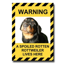 Rottweiler Spoiled Rotten Fridge Magnet No 1 Funny