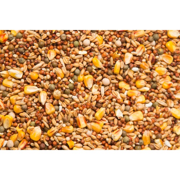 Purgrain Economy 11% with SYC– 50 lb bag