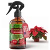 GARDENERA Premium Ready-to-Use Poinsettia Fertilizer Spray - Premixed 3-1-2 Formula