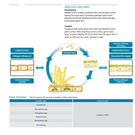 Growers Trust Powdery Mildew Killer Non-Toxic, Biodegradable - Natural Fungicide - (Solution Makes 10 gallons RTU )
