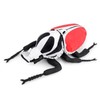 Goliathus Regius Plush,9.8 '' Royal Goliath Beetle Stuffed Animal,Birthday Gifts
