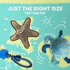 Health Extension SnugArooz Toy Bundle - Jelly The Fish -