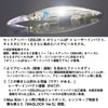 DAIWA Chivas Lure SLZ Set Upper FB 125SDR-LI LI Sardine