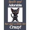 Generic Funny Black Cat Kitten funny flexible fridge magnet gift