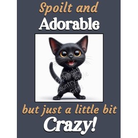 Generic Funny Black Cat Kitten funny flexible fridge magnet gift