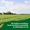 Knorr Beef/Chicken/Tomato With Chicken Bouillon For Sauces, Soups And Stews