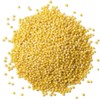 Food to Live Organic Hulled Millet, 10 Pounds – Whole