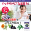Dainichi Healthy Foods Blueberry Lutein 120 Tablets (Tablet Type) x