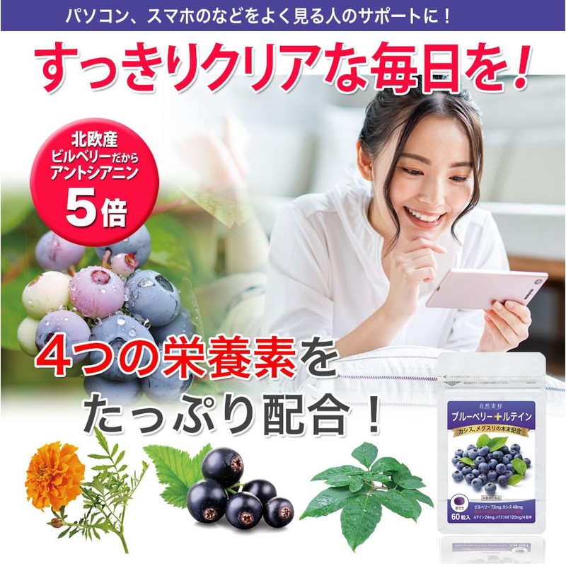 Dainichi Healthy Foods Blueberry Lutein 120 Tablets (Tablet Type) x