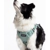 2025 New Edition, Fei & Eve Classic Dog Harness -
