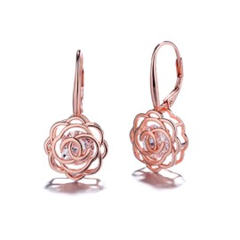 Caged Genuine Crystal Lever Back Earrings - Women's Earrings for Sensitive Ears - Great Gift Idea for Every Occasion - Size (30mm L x 15mm W), Brass, crystal