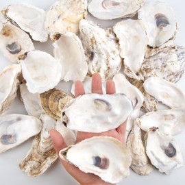 QEQEKAKA 30PCS Oyster Shells 4"-5" Large Oyster Shells for Crafts Natural Oyster Shells Bulk, for Home Vase Filler, Xmas Ornaments, DIY Arts and Crafts Sea Shells