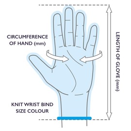 Dalton Safety 2 Pairs Of XS Cut Resistant Level 3 Work Gloves, HPPE Knitted Cuff, PU Coated Palm & Fingertips. Perfect For General Duty, Gardening, Glass Cutting & Sheet Metal Handling