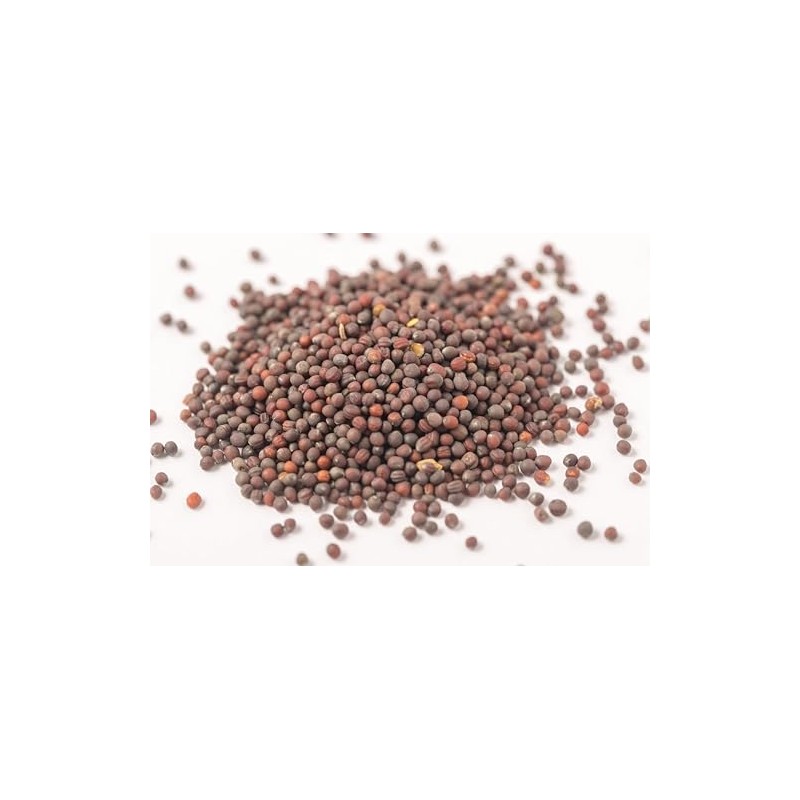 Thunder Acres Purple & White Turnip Seeds (1, Pounds)