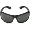 Polaroid Sunglasses, black