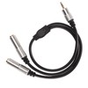 3.5mm to Dual 6.35mm Cable Male to Dual Female Plug