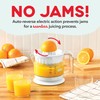 Dash Citrus Juicer Extractor: Compact Juicer for Healthy Juice, Oranges,